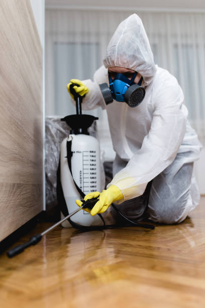 Best Bed Bug Extermination  in Bermuda Dunes, CA